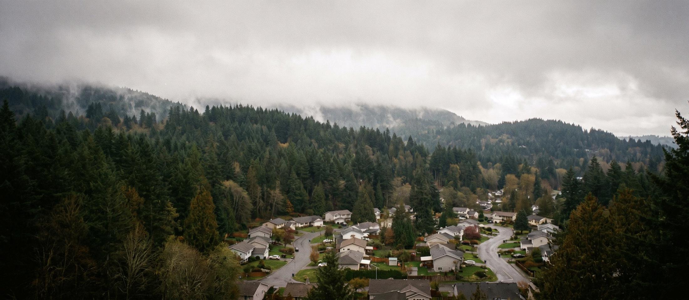 Low clouds over forested foothills above a curving residential street of single-family homes, with dark evergreens in the foreground.